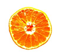 Photography and Image sourcing and processing